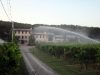 azienda_agricola12