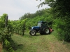 azienda_agricola5